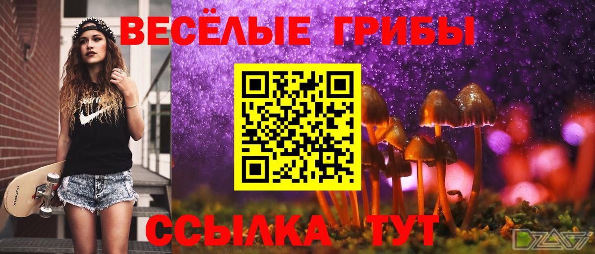 Псилоцибиновые грибы Psilocybe Ставрополь