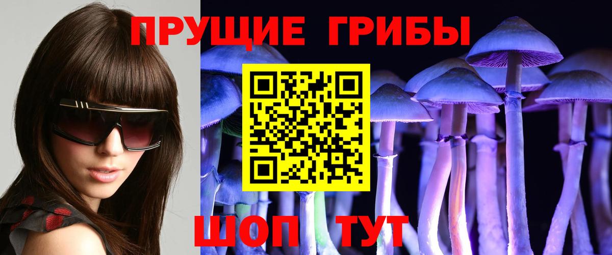 Псилоцибиновые грибы MAGIC MUSHROOMS  Вход с VPN  Ставрополь  Псилоцибиновые грибы Cubensis 
